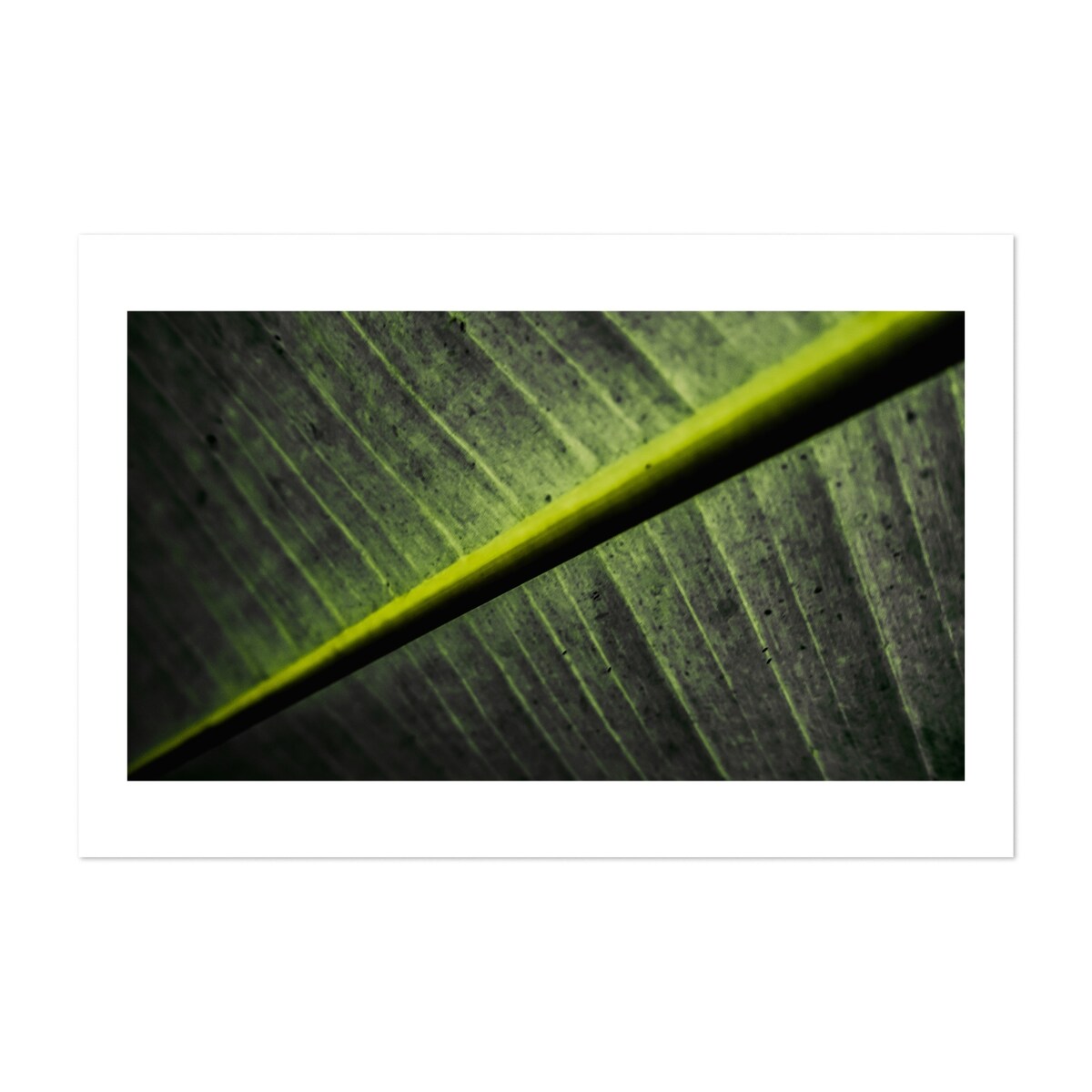 Goa India Green Machine Photography Abstract Art Print/Poster