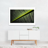 Goa India Green Machine Photography Abstract Art Print/Poster