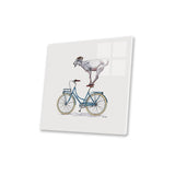 Goat On Bicycle Print On Acrylic Glass by Carolynn Elshof