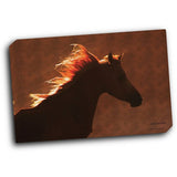 Golden Angel 20x16 Gallery Wrapped Stretched Canvas