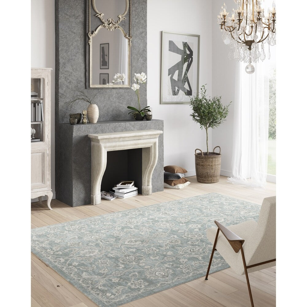 Graceful Traditional Floral Area Rug - 6'6" x 9'6"
