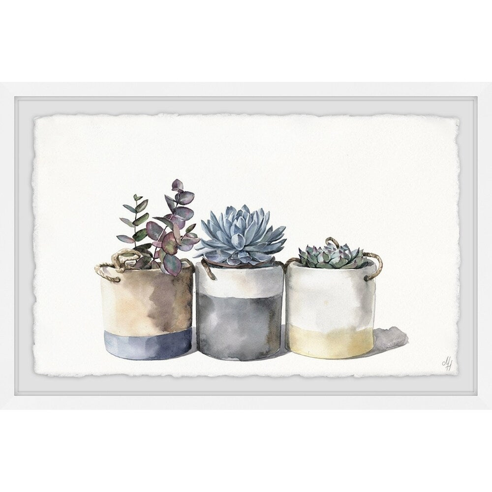 'Granny's Cacti' Framed Painting Print - Multi-Color
