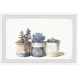'Granny's Cacti' Framed Painting Print - Multi-Color
