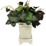Grapevine plant arrangement