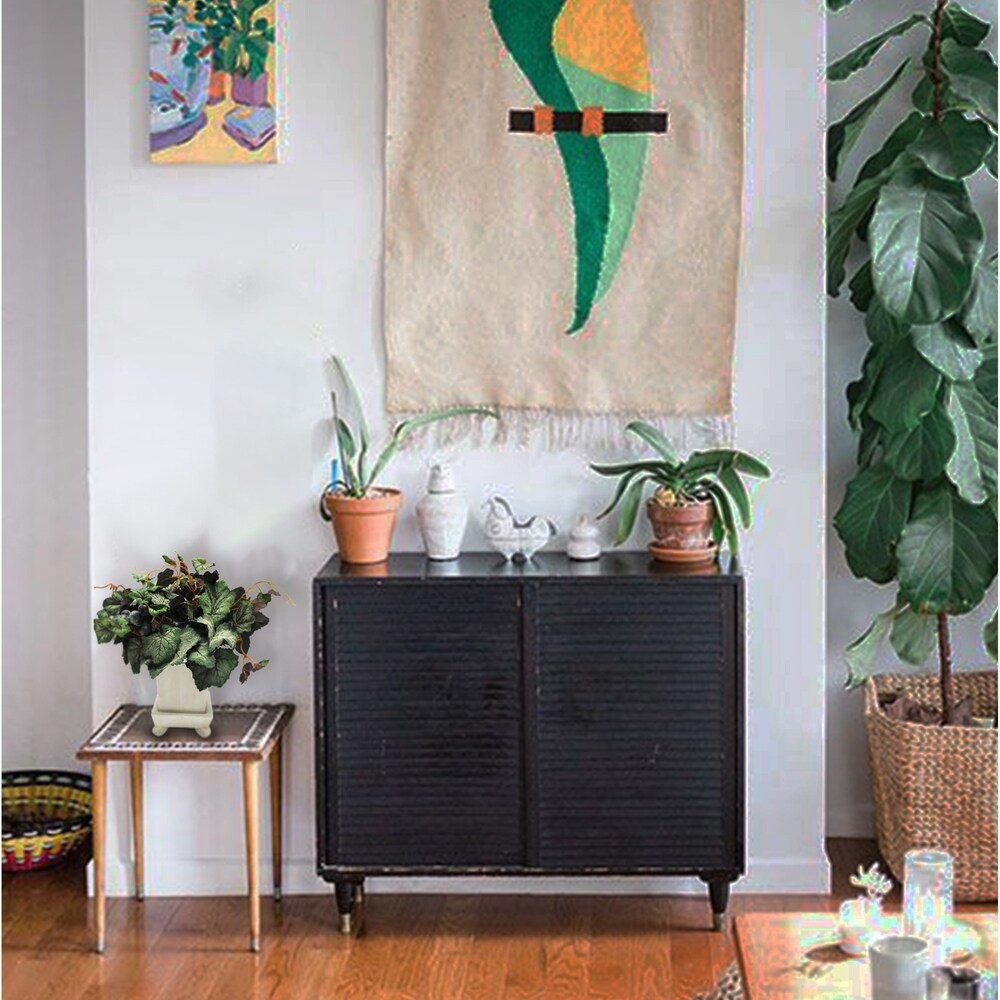 Grapevine plant arrangement