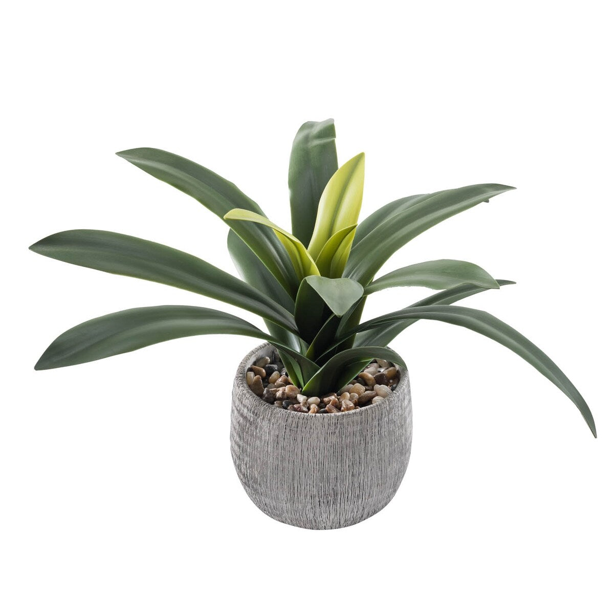 Green Leaves in Cement Pot