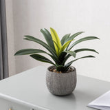 Green Leaves in Cement Pot