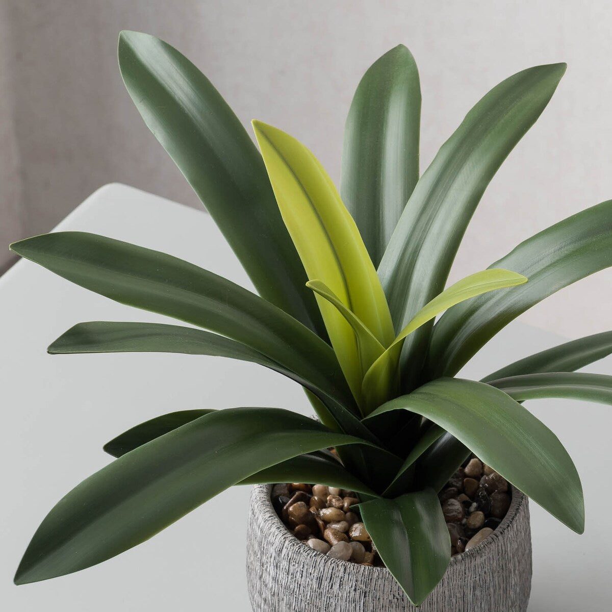 Green Leaves in Cement Pot