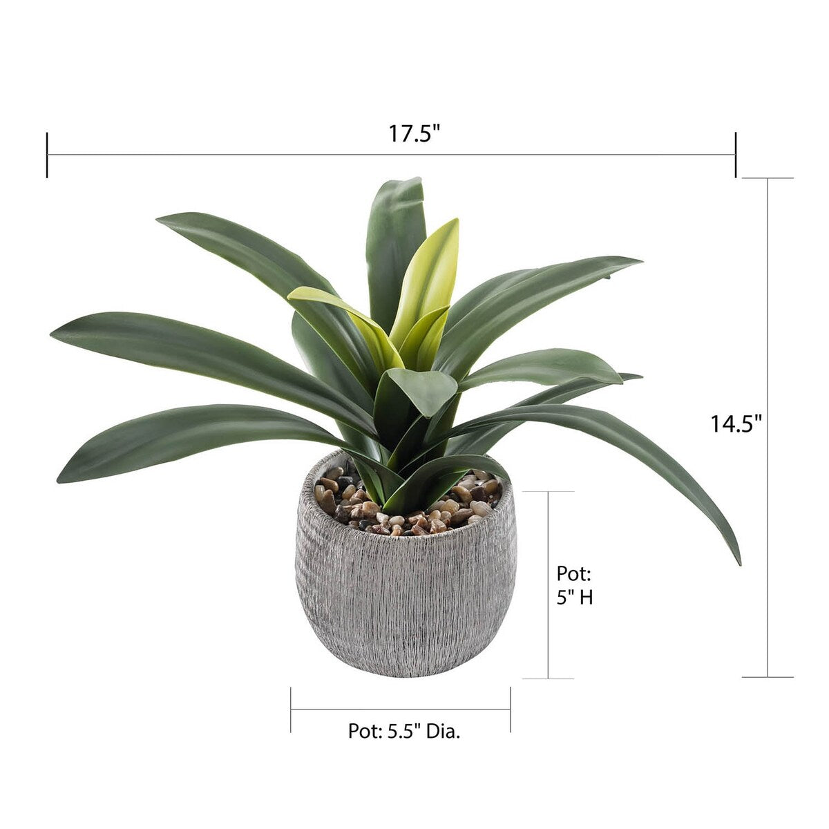 Green Leaves in Cement Pot