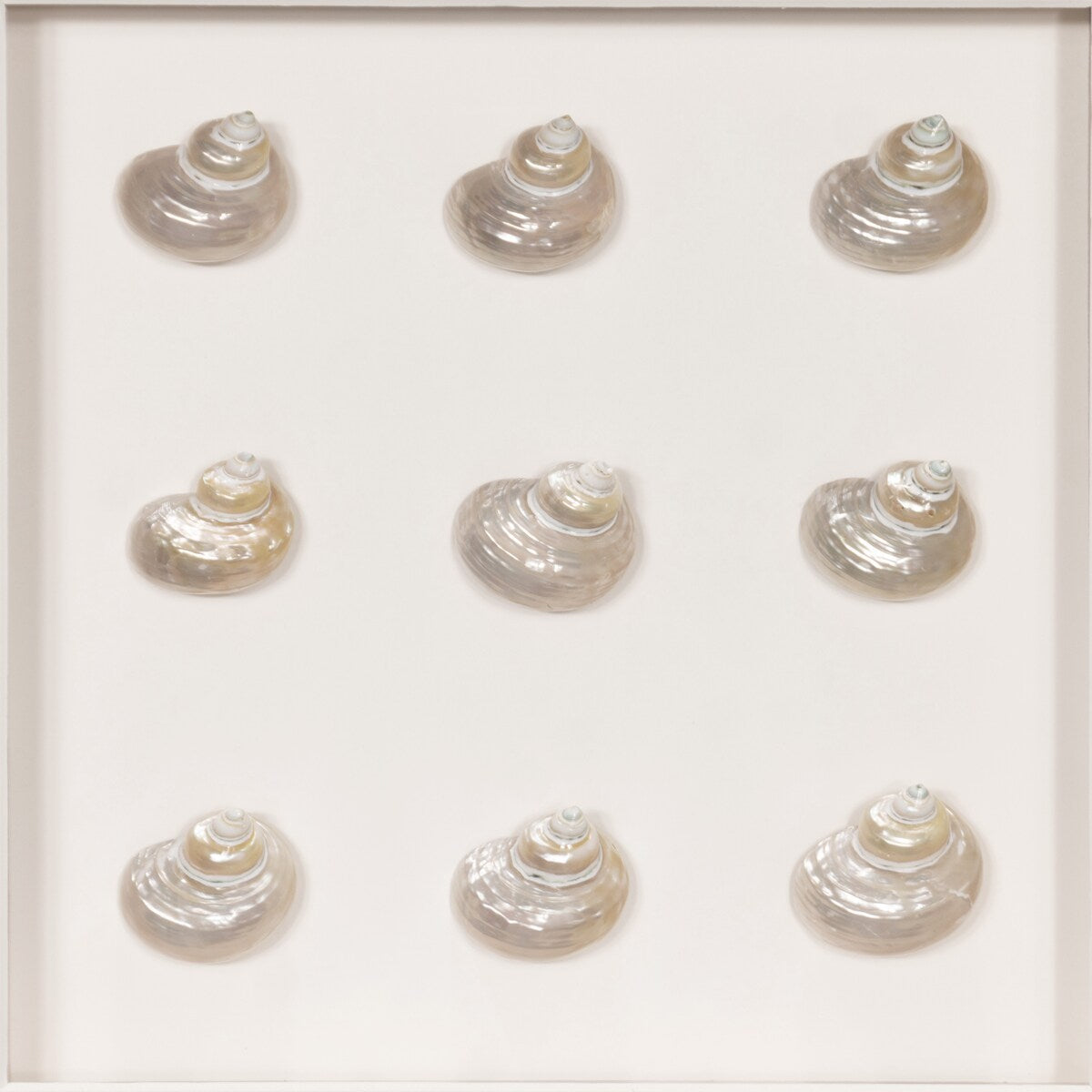 HUJI Handmade Pearlescent Sea Shell Shadow Box Wall Decor for Bathroom Bedroom - N/A