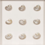 HUJI Handmade Pearlescent Sea Shell Shadow Box Wall Decor for Bathroom Bedroom - N/A