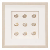 HUJI Handmade Pearlescent Sea Shell Shadow Box Wall Decor for Bathroom Bedroom - N/A