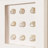 HUJI Handmade Pearlescent Sea Shell Shadow Box Wall Decor for Bathroom Bedroom - N/A