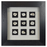 HUJI Quartz Geode Set Shadow Box Wall Decor