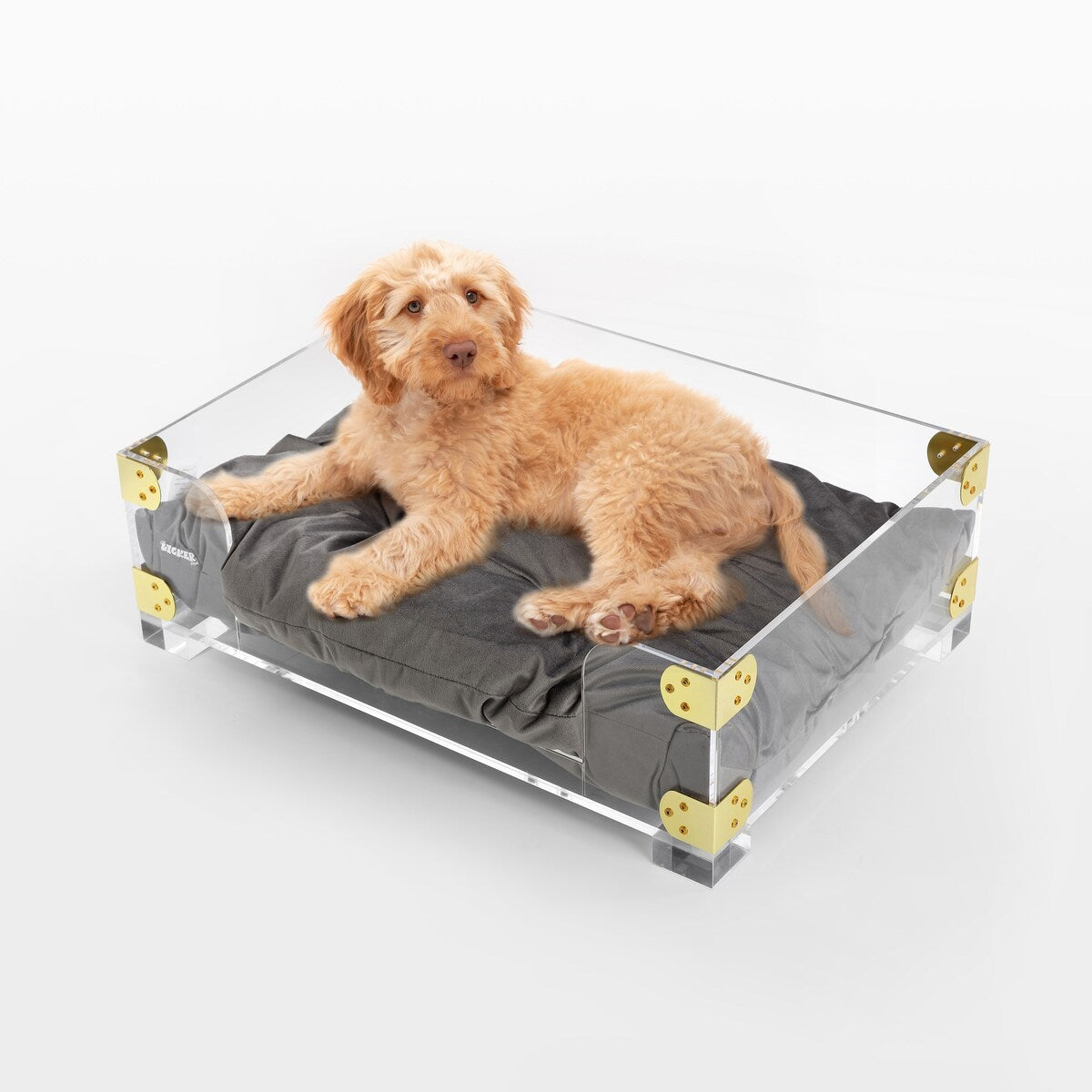 Haines 21.5" x 15.25" Small/Medium Modern Lucite Velvet Pet Bed with Washable Cushion, Dark Gray/Clear