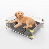 Haines 21.5" x 15.25" Small/Medium Modern Lucite Velvet Pet Bed with Washable Cushion, Dark Gray/Clear