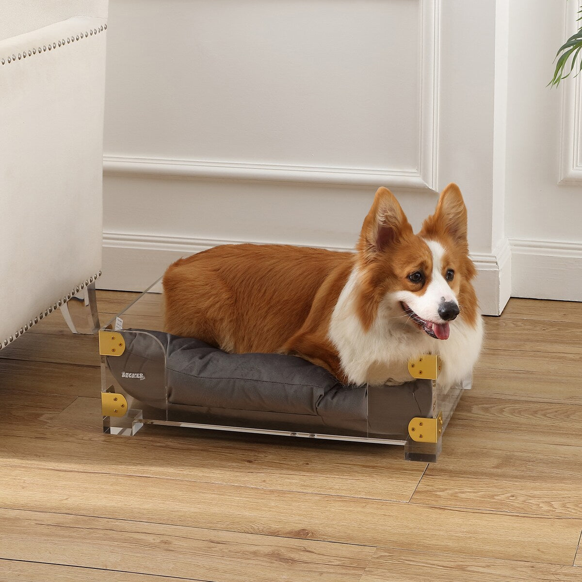Haines 21.5" x 15.25" Small/Medium Modern Lucite Velvet Pet Bed with Washable Cushion, Dark Gray/Clear