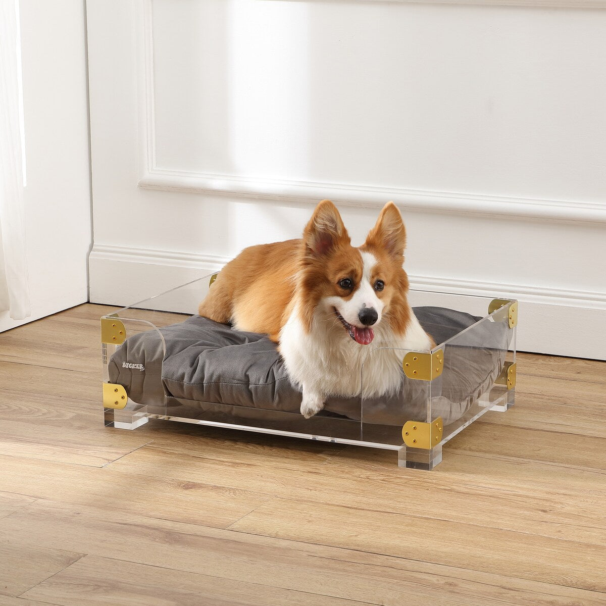 Haines 21.5" x 15.25" Small/Medium Modern Lucite Velvet Pet Bed with Washable Cushion, Dark Gray/Clear