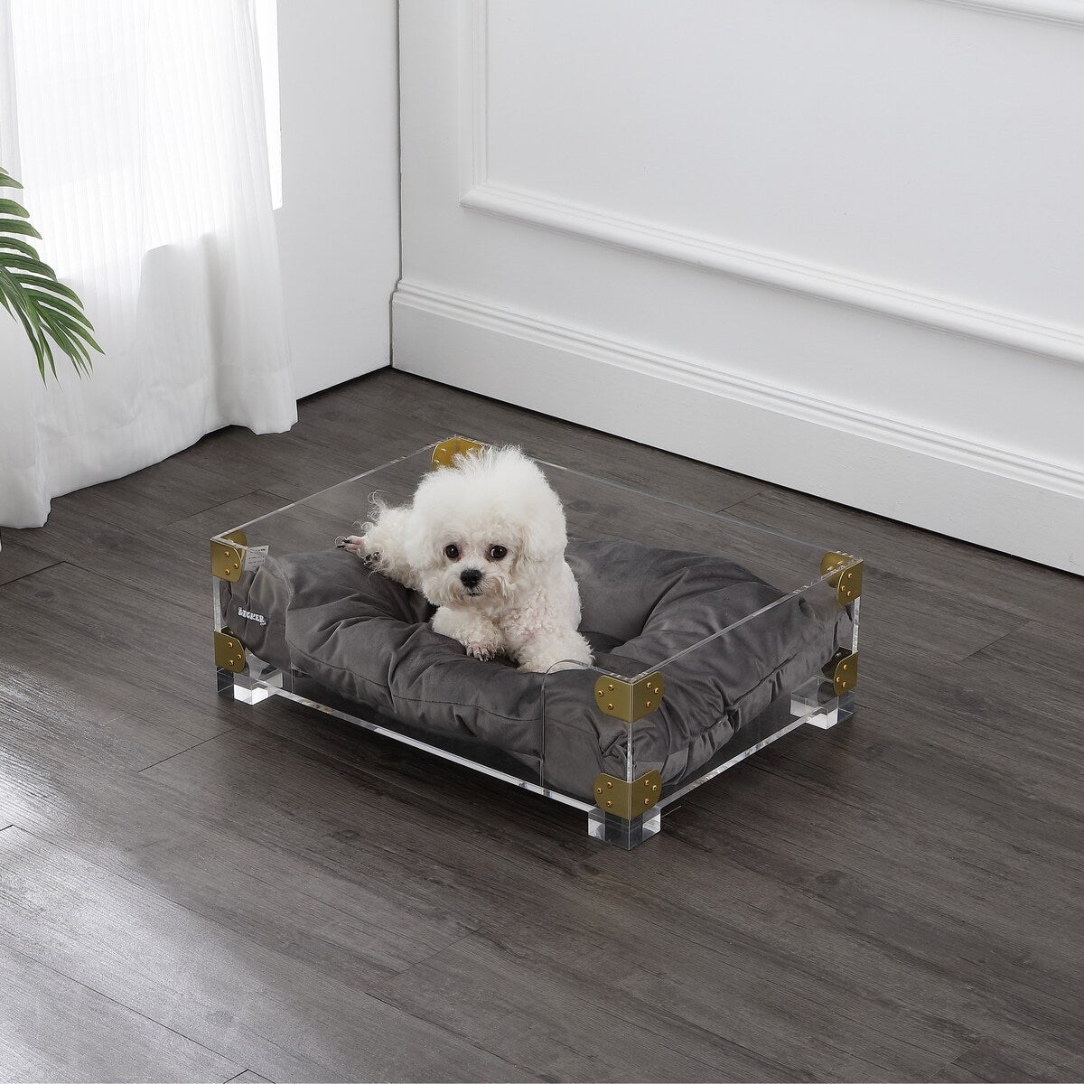Haines 21.5" x 15.25" Small/Medium Modern Lucite Velvet Pet Bed with Washable Cushion, Dark Gray/Clear