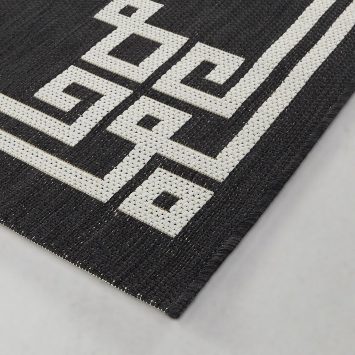 Haines Transitional Border Indoor/Outdoor Area Rug