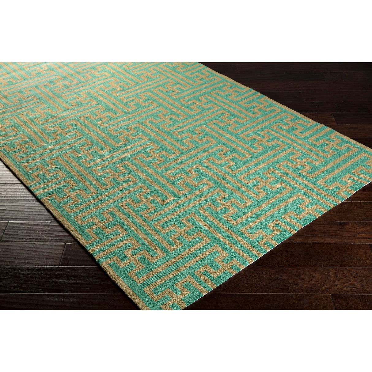 Hand-Hooked Gwyneth Contemporary Geometric Indoor/Outdoor Area Rug