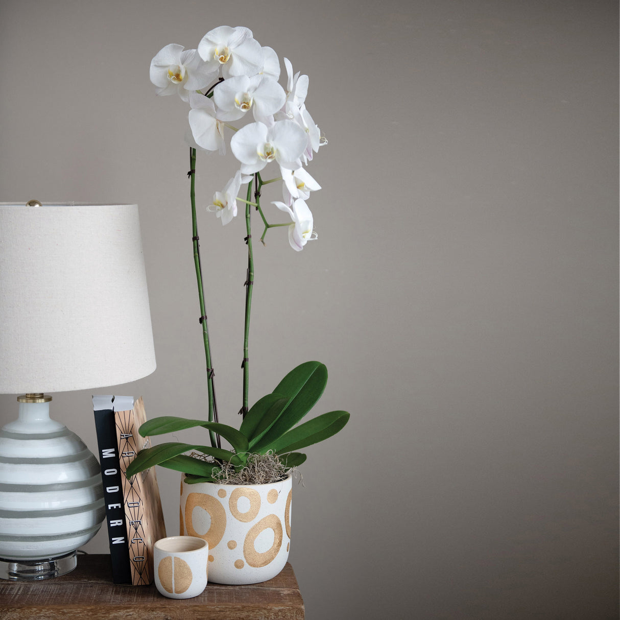 Hand-Painted Stoneware Planter with Circle Design