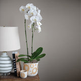 Hand-Painted Stoneware Planter with Circle Design