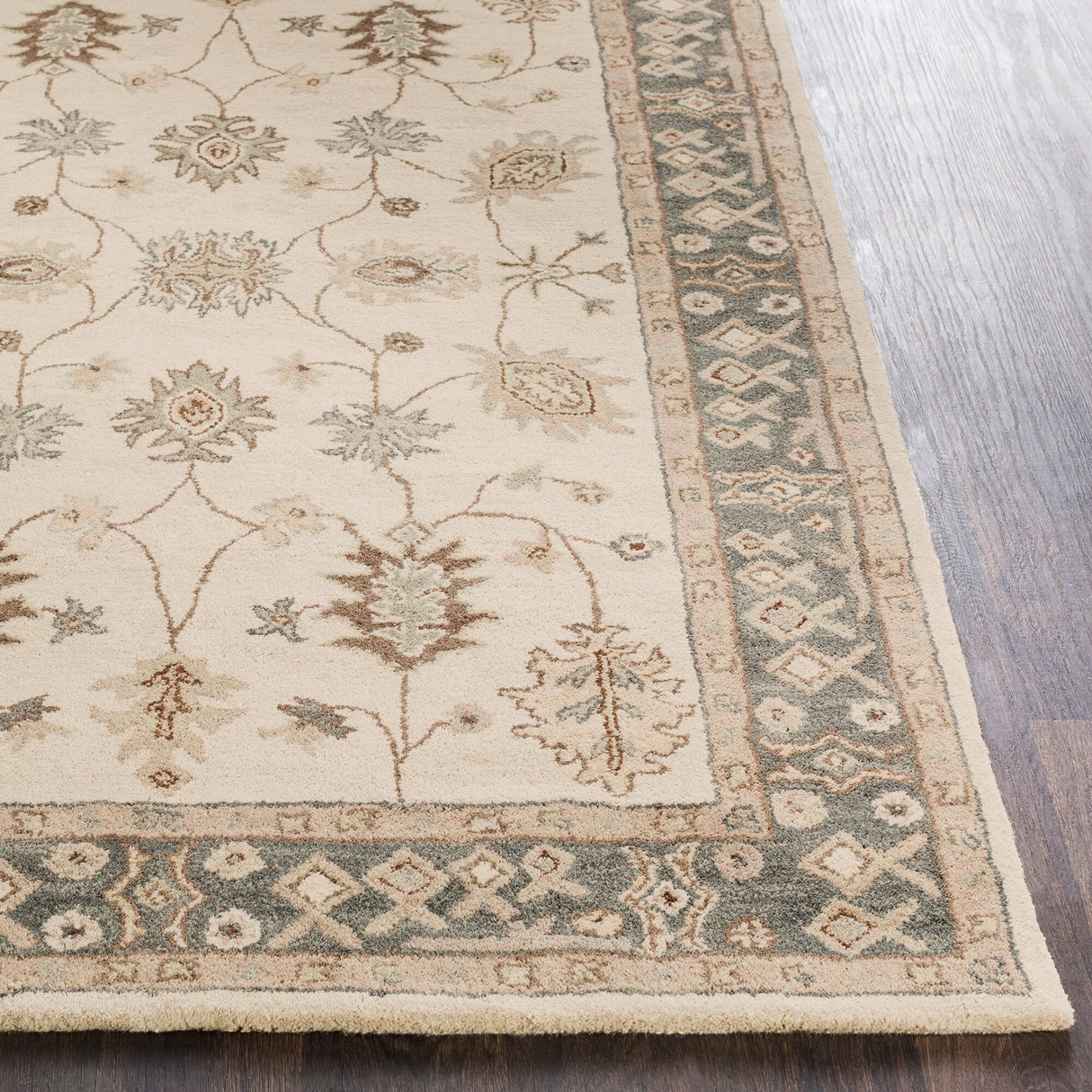 Hand-Tufted Asnee Bordered Wool Rug