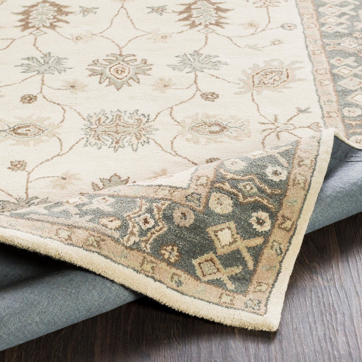 Hand-Tufted Asnee Bordered Wool Rug