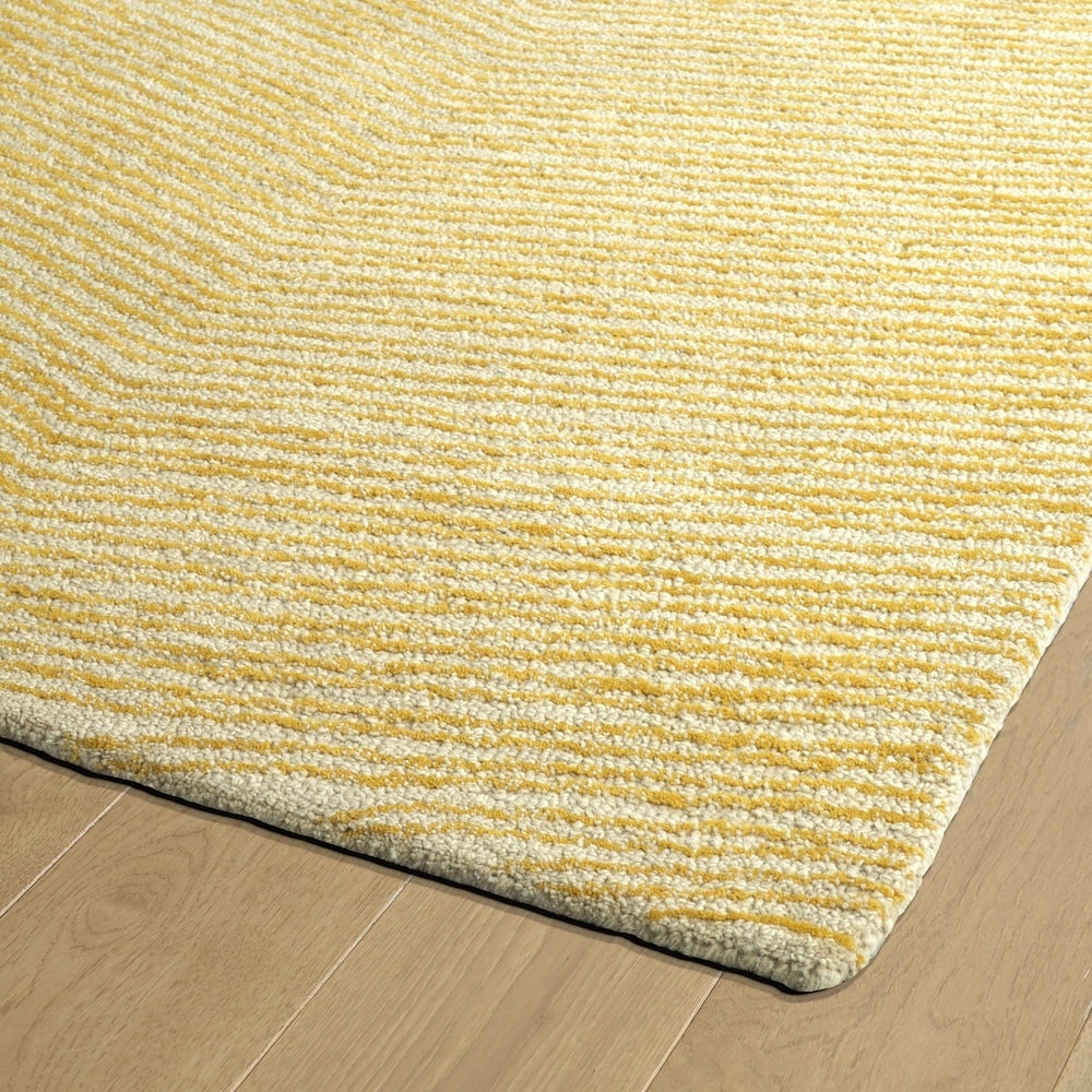 Textura Collection