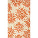 Hand-hooked Salma Transitional Floral Indoor/ Outdoor Area Rug