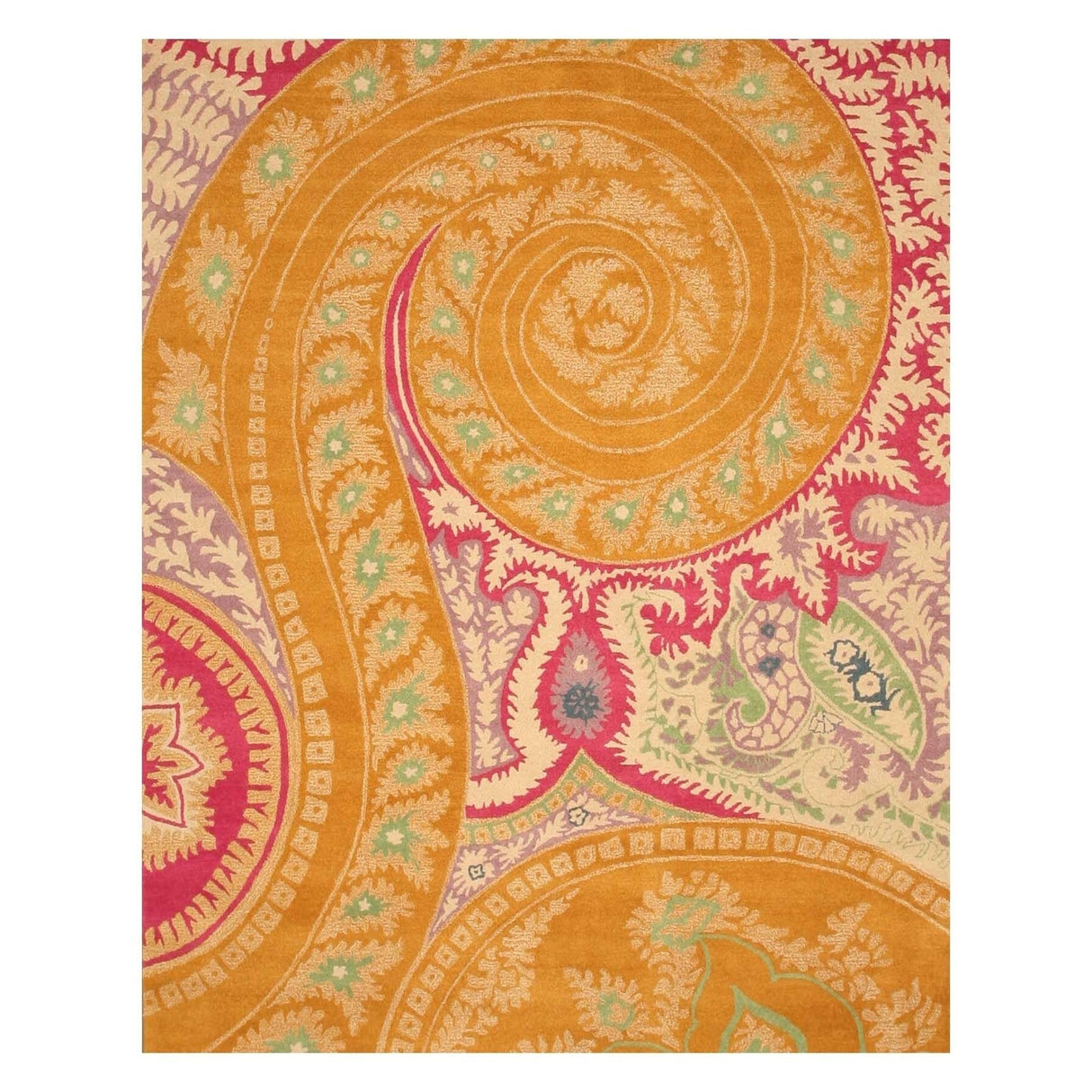 Hand-tufted Wool Orange Transitional Floral Paisley Rug