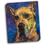Happy Companion II 16x20 Gallery Wrapped Stretched Canvas