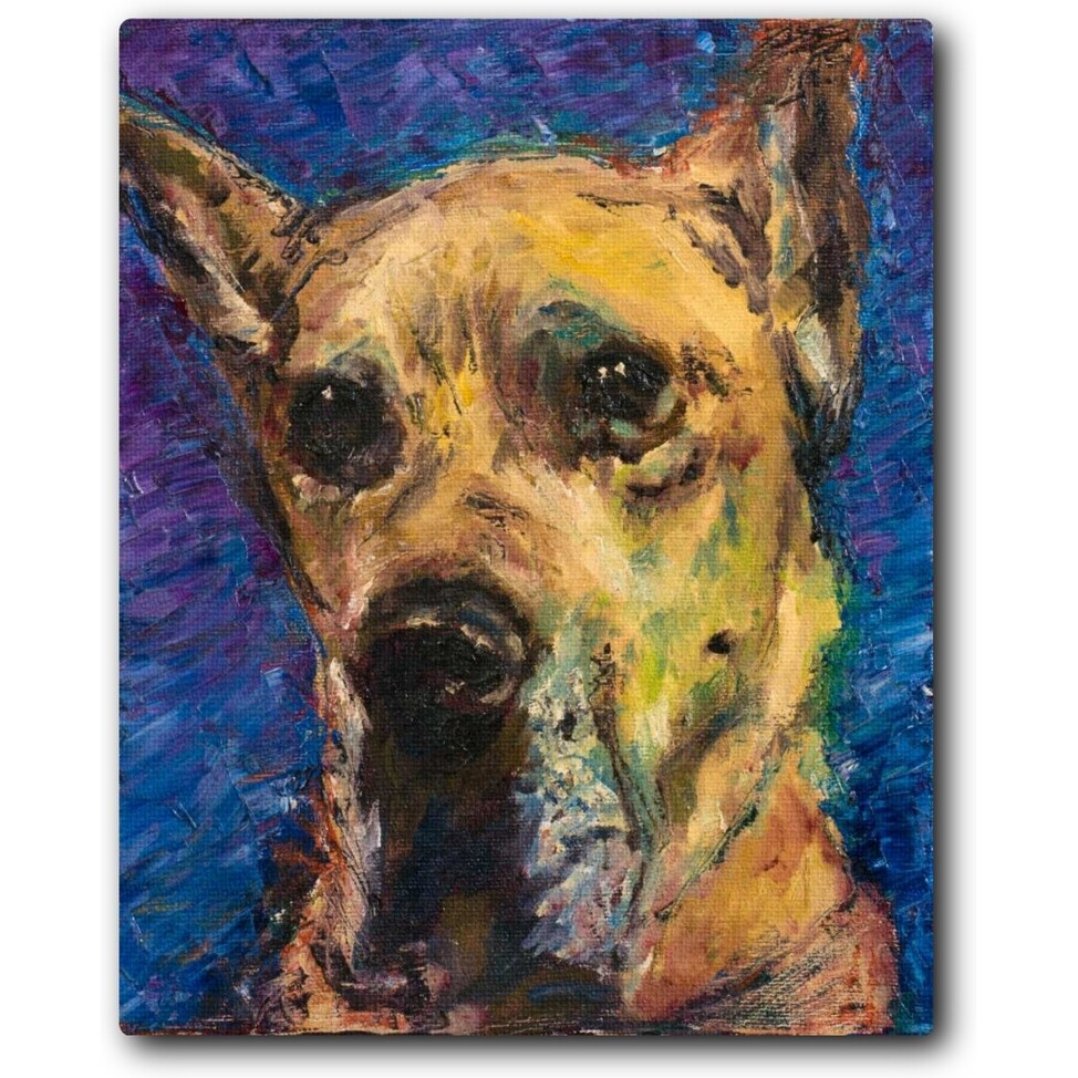 Happy Companion II 16x20 Gallery Wrapped Stretched Canvas