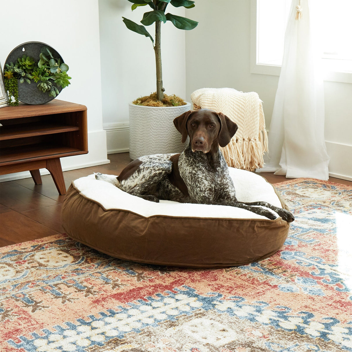Happy Hounds Scout Deluxe Latte Round Dog Bed