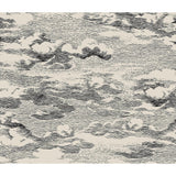 Harry & Grace Clouds Peel And Stick Wallpaper
