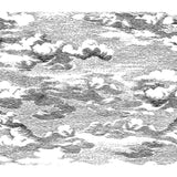 Harry & Grace Clouds Peel And Stick Wallpaper