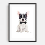 Hasli R egsau Bern Switzerland Frenchie V Drawing Art Print/Poster