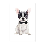 Hasli R egsau Bern Switzerland Frenchie V Drawing Art Print/Poster