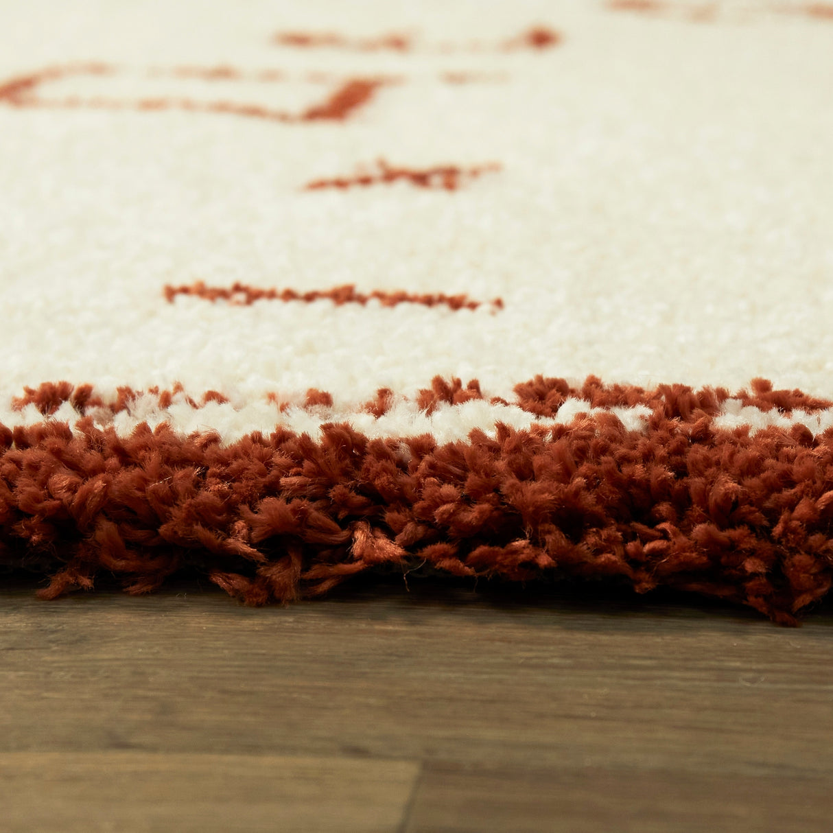 Headley Southwestern Shag Area Rug
