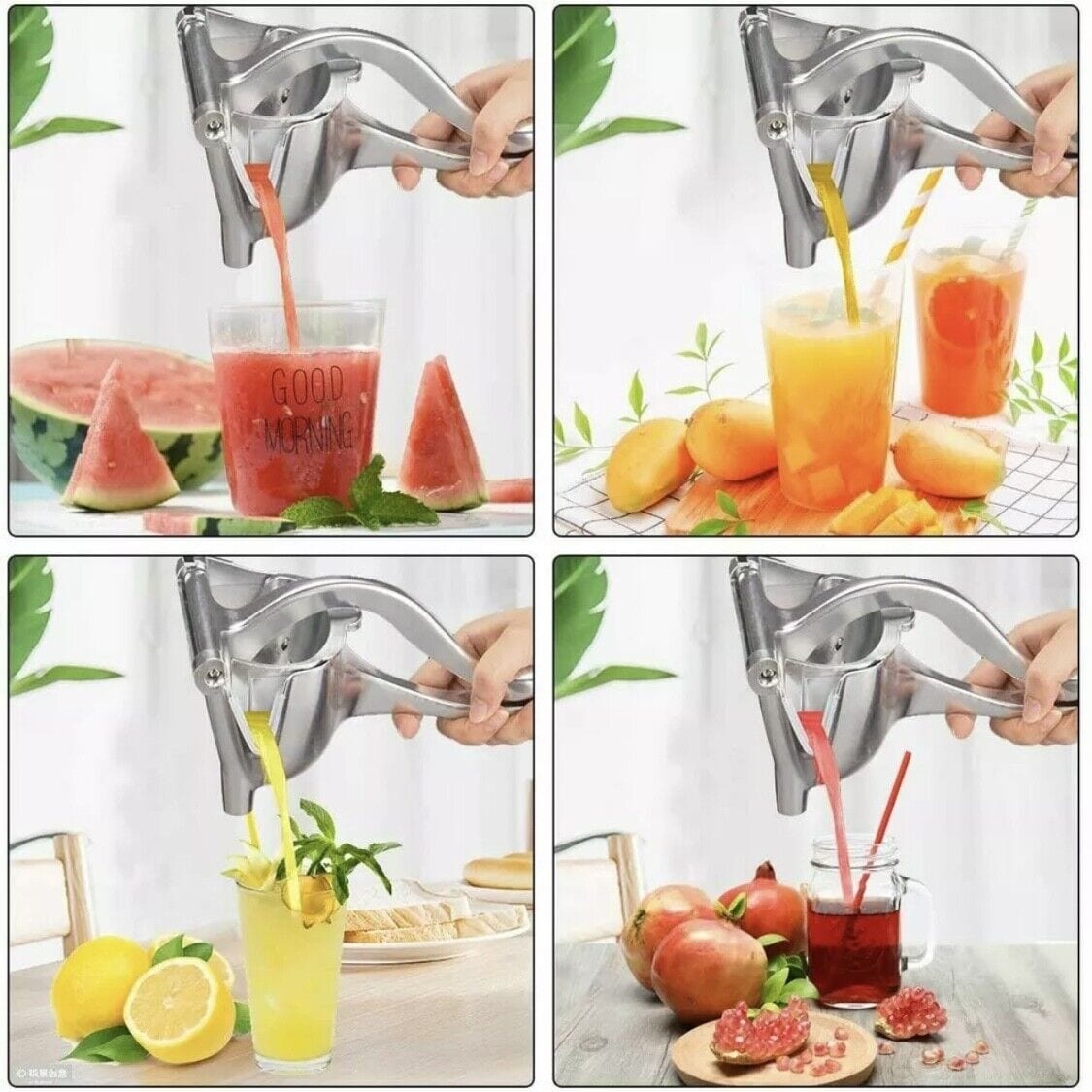 Heavy Duty Manual Fruit Juicer Press