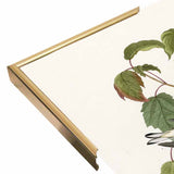 Hemlock Warbler-VINAPP116426 Print 20"x12.5" by Vintage Apple Collection