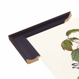 Hemlock Warbler-VINAPP116426 Print 20"x12.5" by Vintage Apple Collection