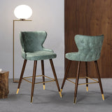 Hepburn Wingback Nailhead Trim Bar Stool Set of 2 by HULALA HOME