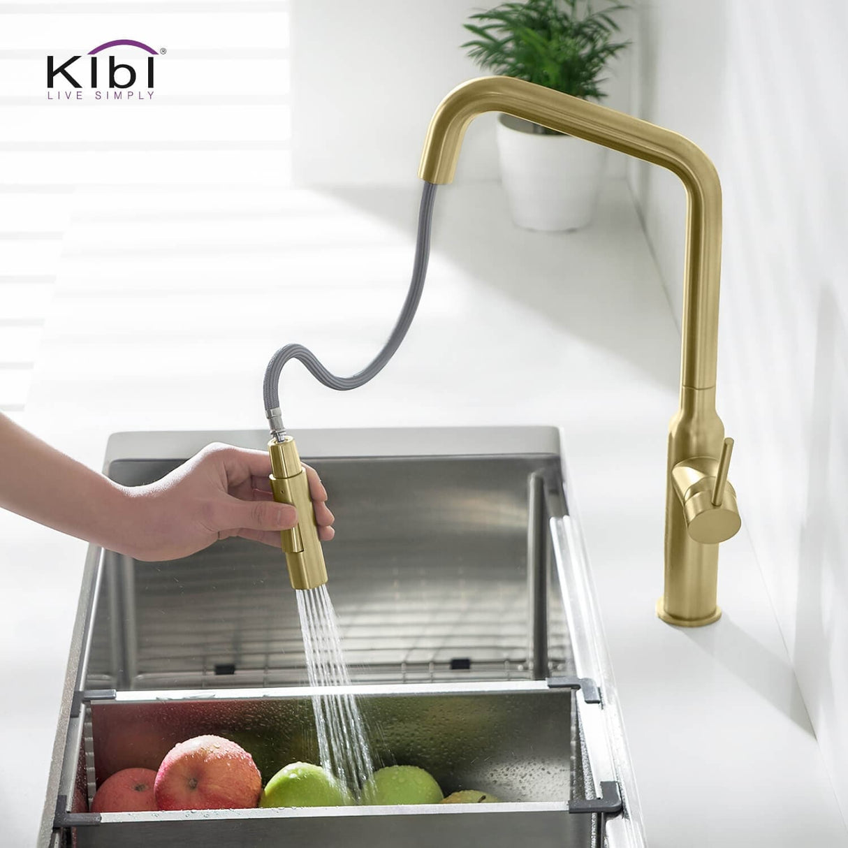 Brass High Arc Single Lever Kitchen Faucet with Pull Down Sprayer