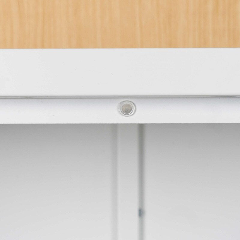 High Storage Cabinet with 2 Doors and 4 Partitions