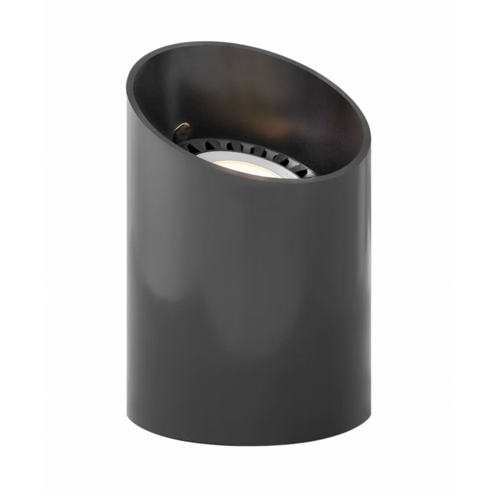 Hinkley Landscape 35 Watt Well Light - Black