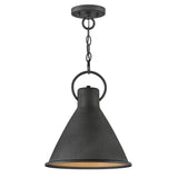 Hinkley Lighting Winnie 12" Wide Pendant