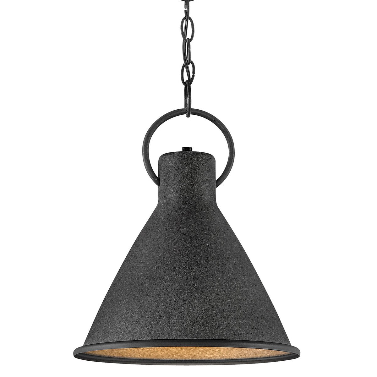Hinkley Lighting Winnie 12" Wide Pendant