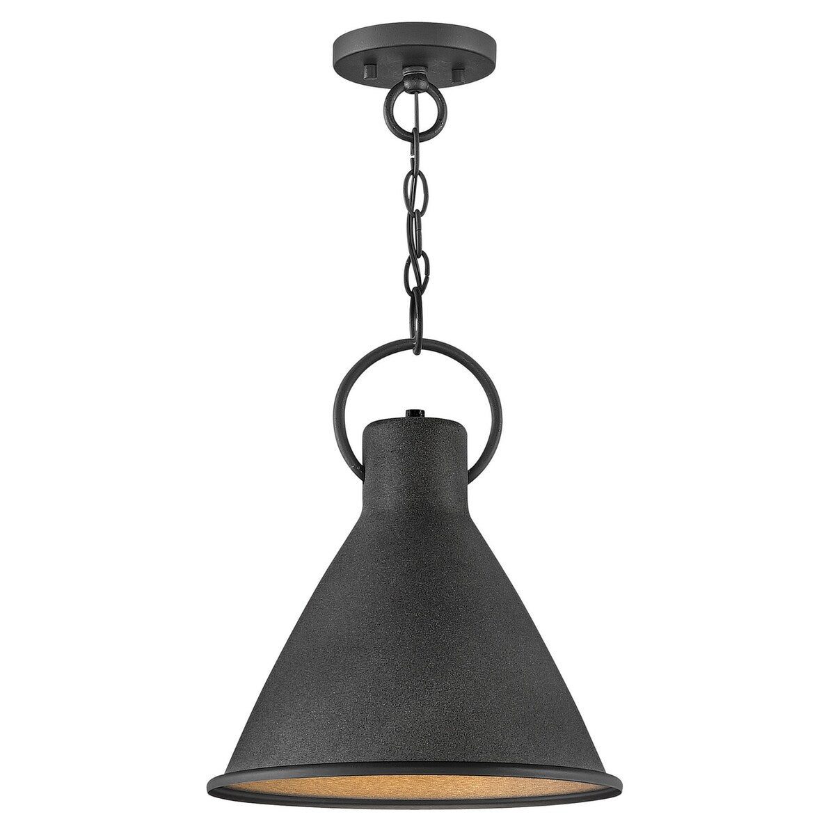 Hinkley Lighting Winnie 12" Wide Pendant